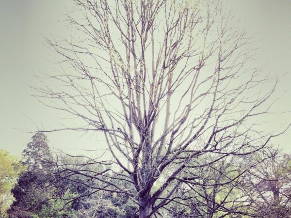 How to Do a Digital Detox Without Going Off the Grid