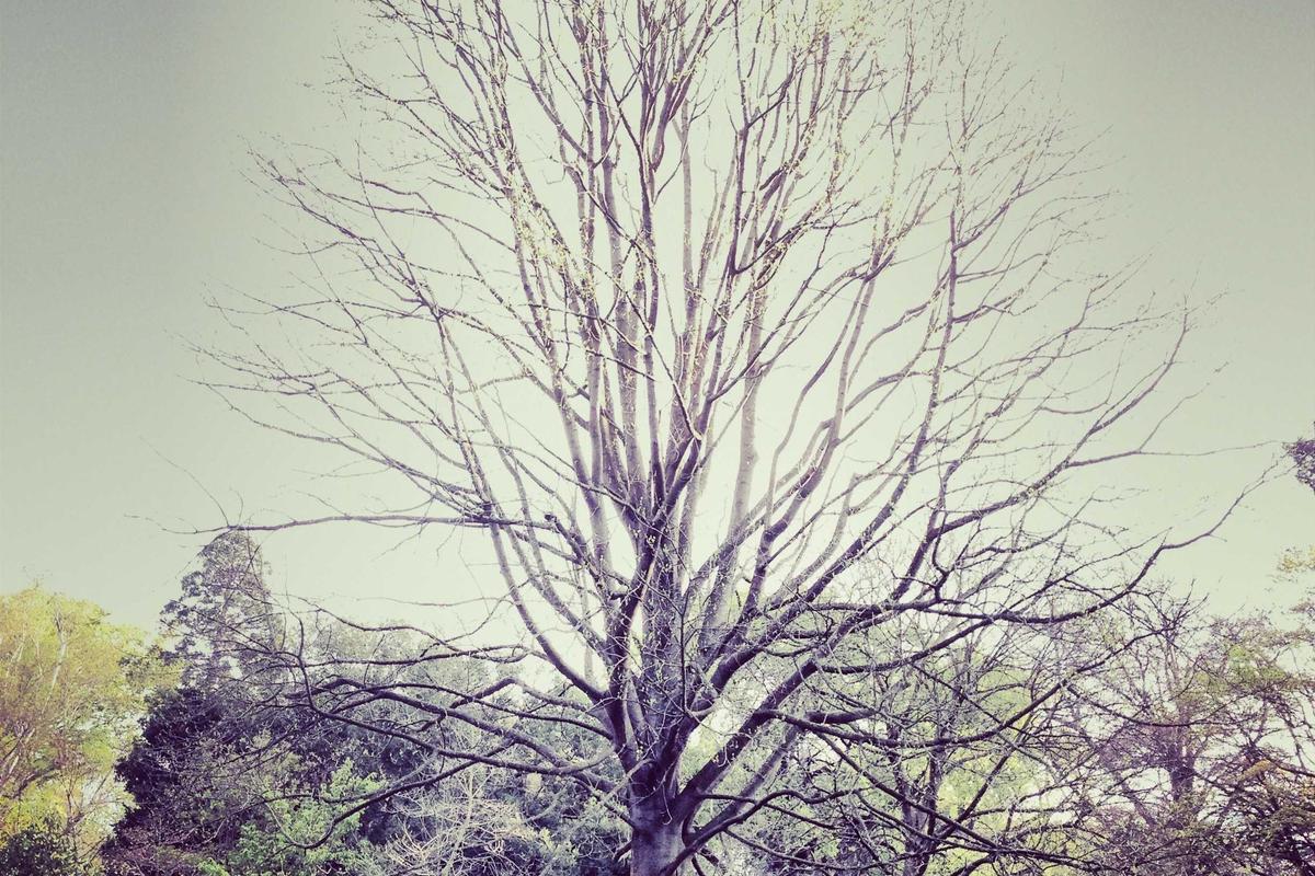 How to Do a Digital Detox Without Going Off the Grid