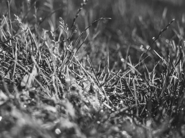 Building a Morning Routine That Actually Works