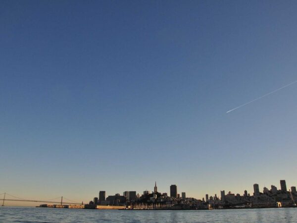 Probiotics: What the Science Says (and What Your Gut Doesn’t Need)