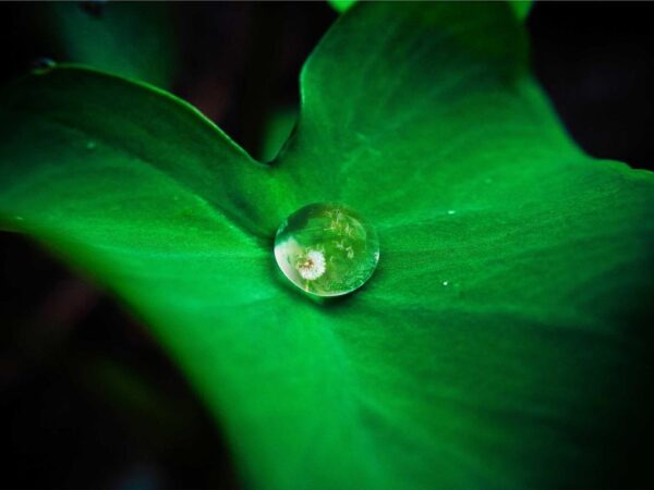 Vitamin D: The Supplement Almost Everyone Should Consider