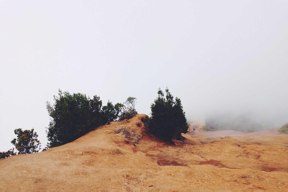 How to Reduce Phone Usage Without Feeling Like You’re Missing Out