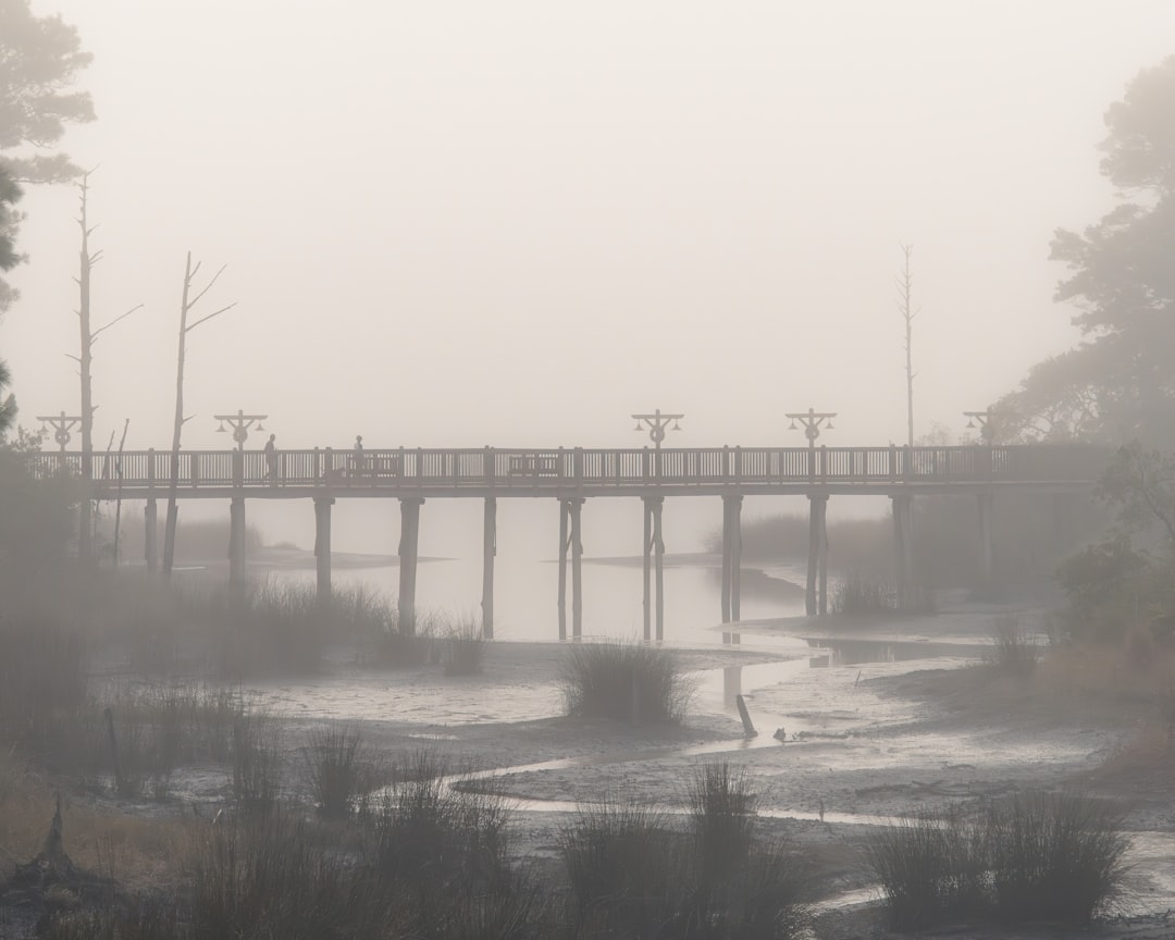 A wooden bridge crosses a misty waterway with trees.