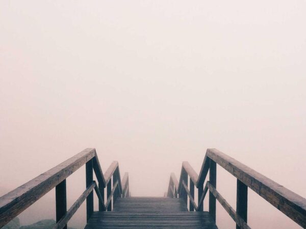 I Tried Every Bra Out There. Here’s the One That Actually Changed Everything.