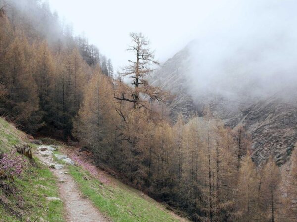 The Nursing Bra That Doesn’t Feel Like a Nursing Bra