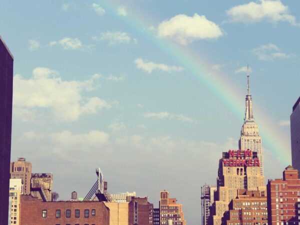 The Unlikely Promotion: How a Puppy Became My Best Career Move