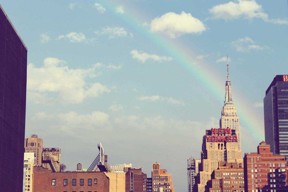 The Unlikely Promotion: How a Puppy Became My Best Career Move